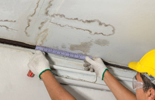 Reliable Basement Flood Cleanup contractor in Albany, CA by Aqua Guard Water Damage